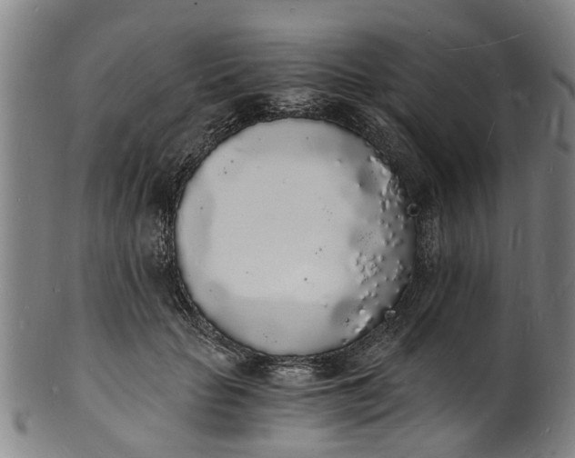 X0000101670653200807241441