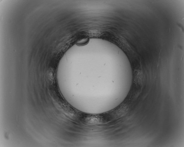 X0000101670655200807241441