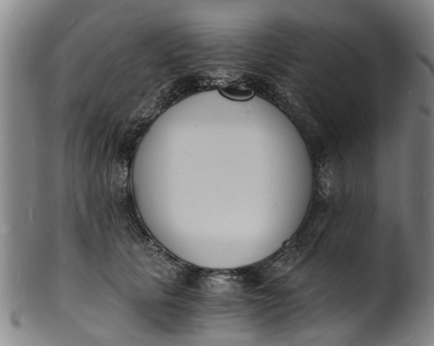 X0000101670657200807241441