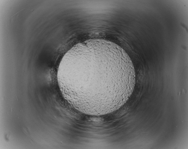 X0000101670659200807241441