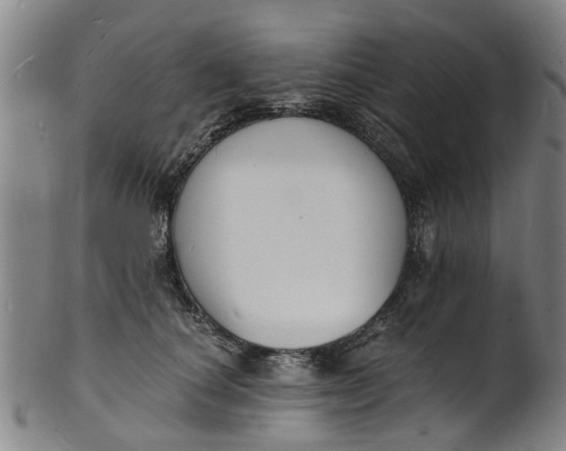 X0000101670660200807241441