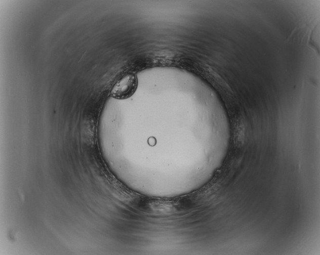 X0000101670661200807241441