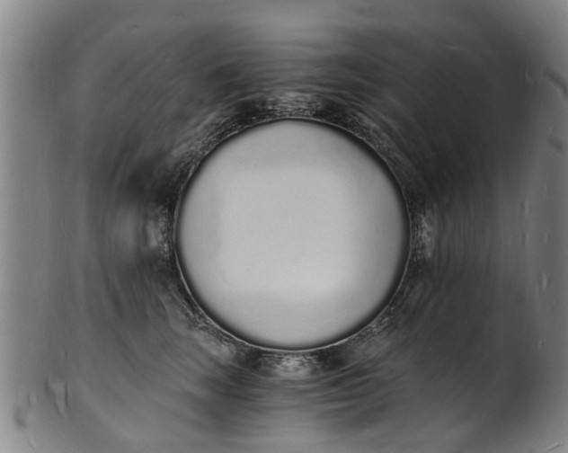 X0000101670663200807241441