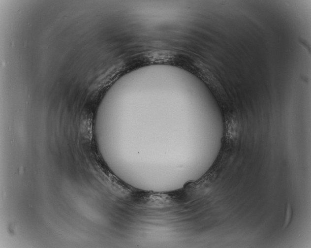 X0000101670666200807241442