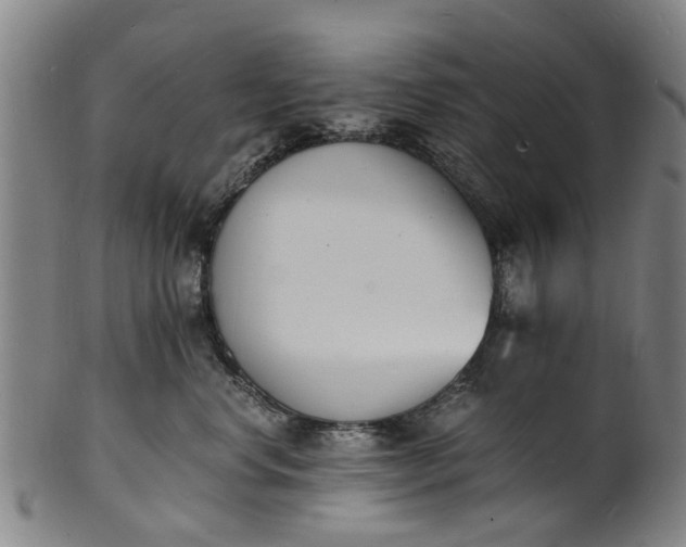X0000101670668200807241442