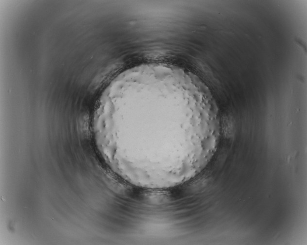 X0000101670670200807241442