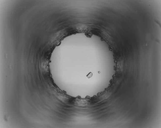 X0000101670671200807241442