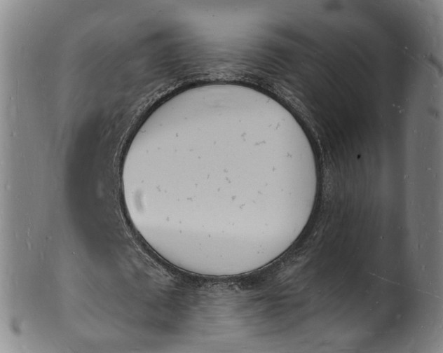 X0000101670673200807241441