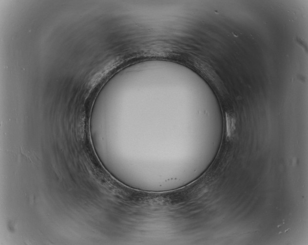 X0000101670675200807241441