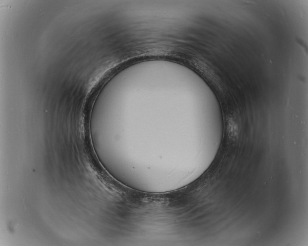 X0000101670676200807241441