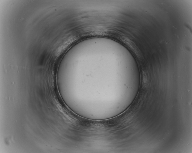 X0000101670677200807241441