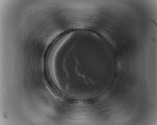 X0000101670678200807241441
