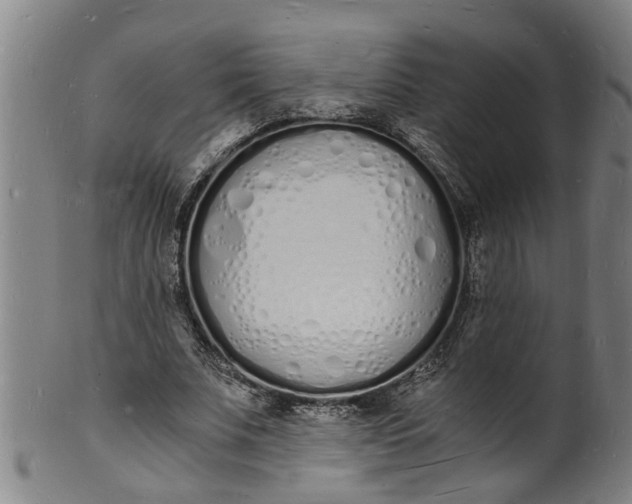 X0000101670679200807241441