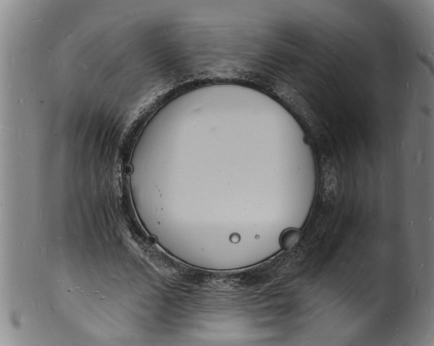 X0000101670680200807241441