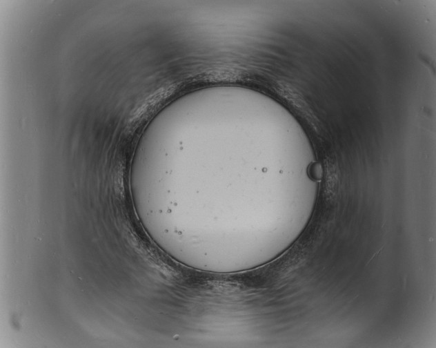 X0000101670681200807241441