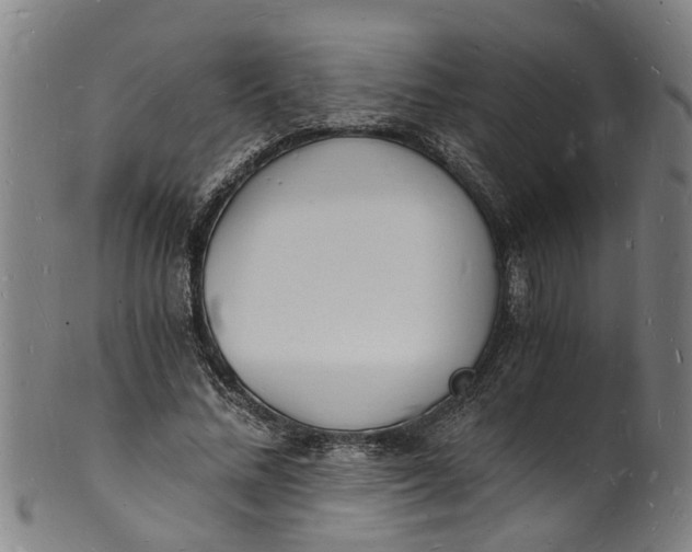 X0000101670684200807241441