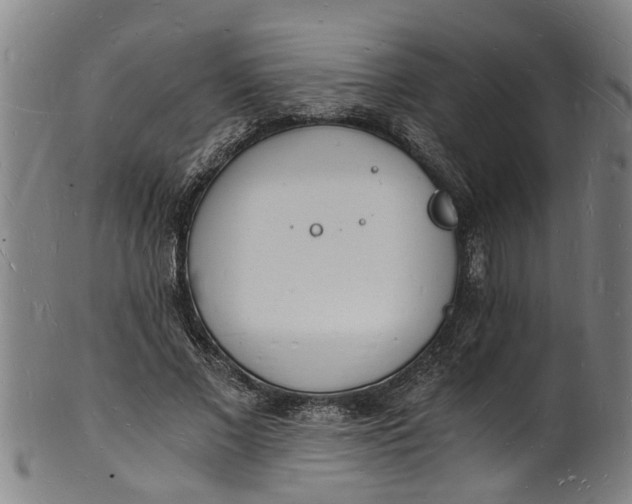 X0000101670685200807241441