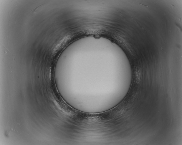 X0000101670686200807241441