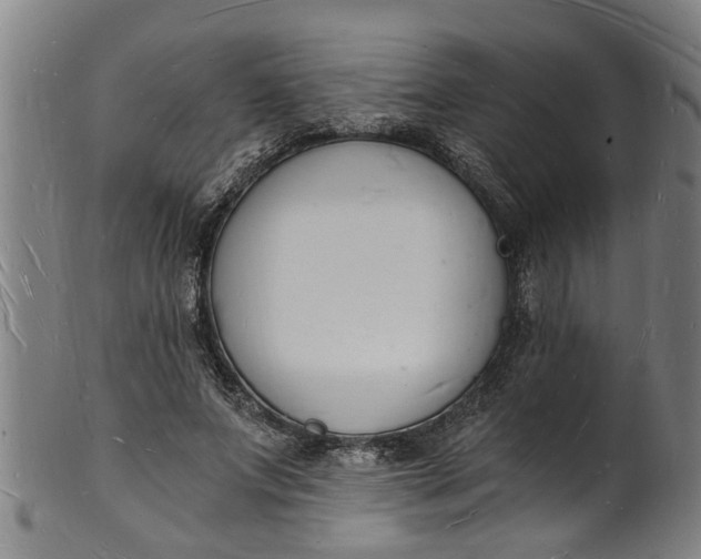 X0000101670687200807241441