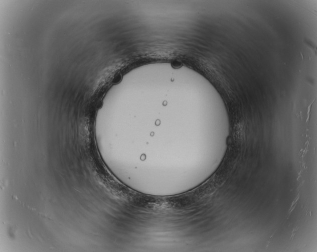 X0000101670688200807241441