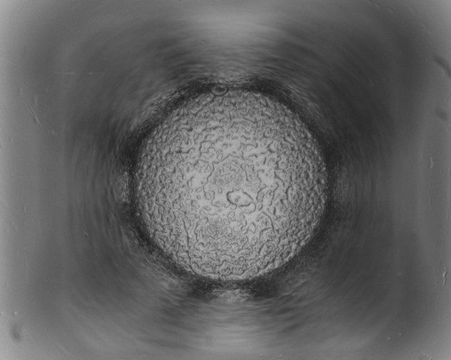 X0000101670689200807241441