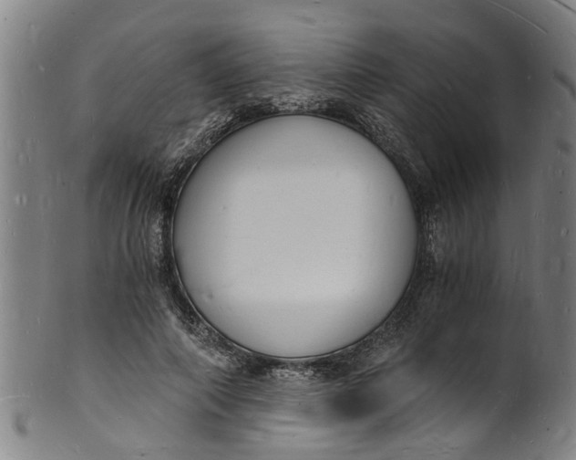 X0000101670690200807241441