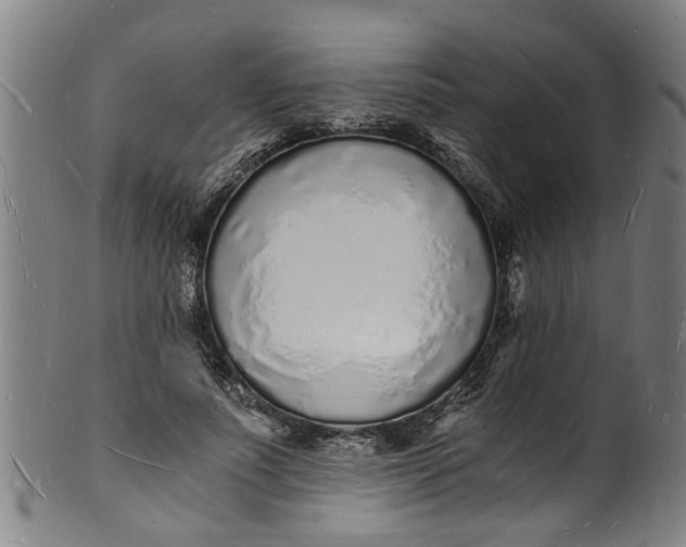 X0000101670691200807241441