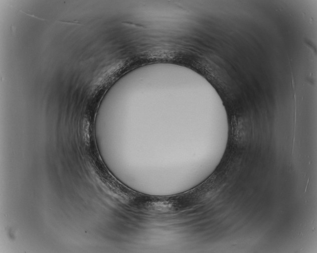 X0000101670692200807241441
