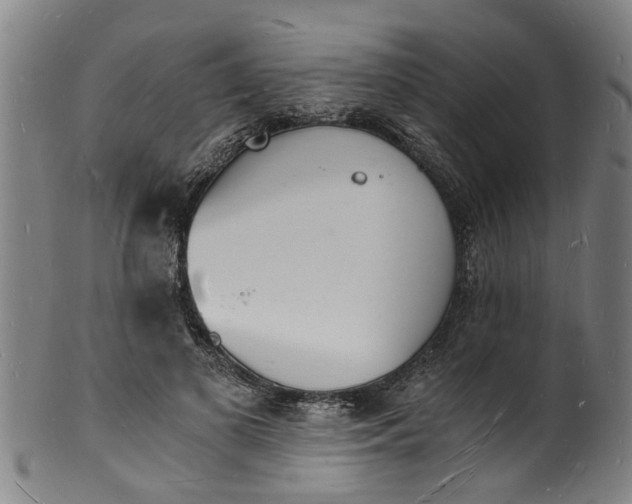 X0000101670693200807241441