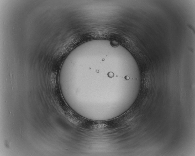 X0000101670695200807241441