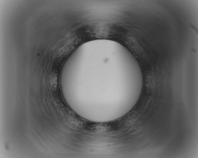 X0000101670697200807241441