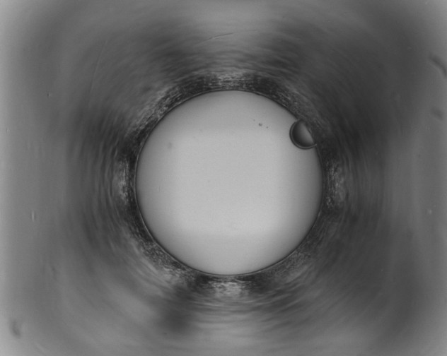 X0000101670698200807241441