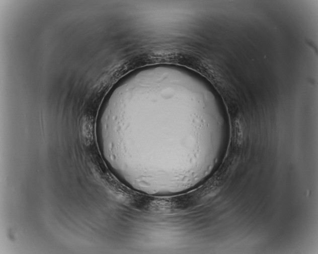 X0000101670699200807241441