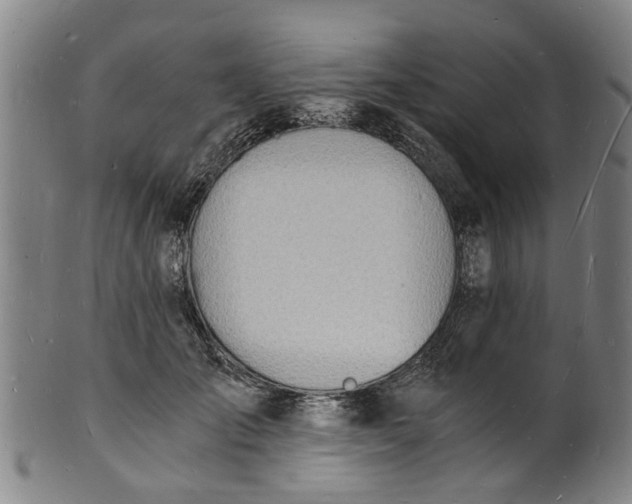 X0000101670701200807241441