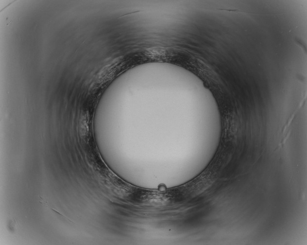 X0000101670702200807241441