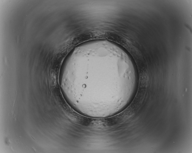 X0000101670703200807241441