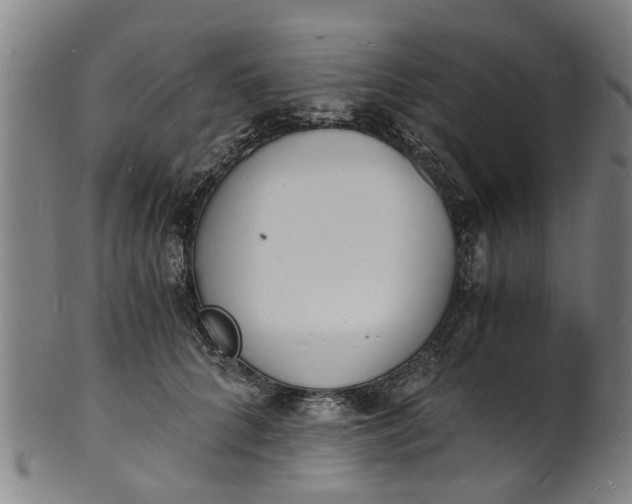 X0000101670704200807241441