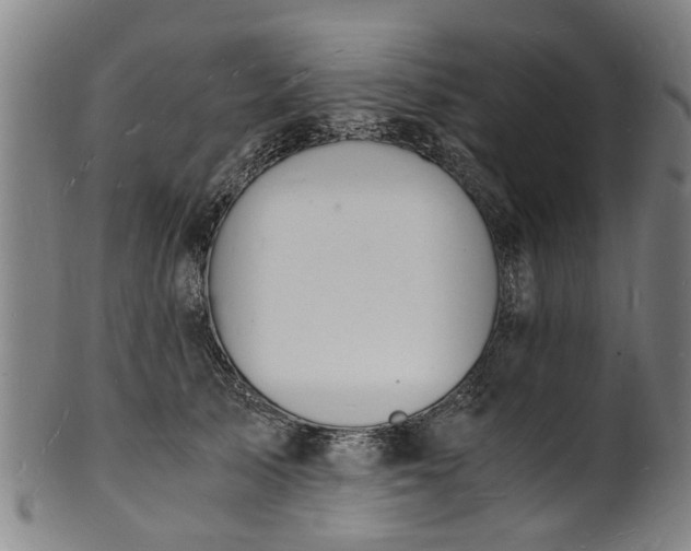 X0000101670705200807241441