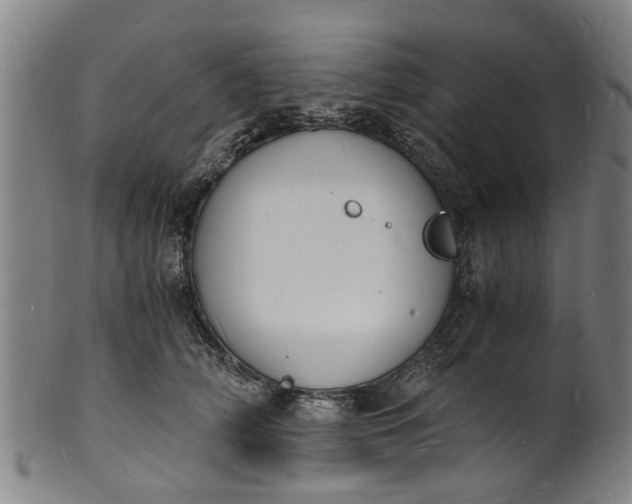 X0000101670706200807241440