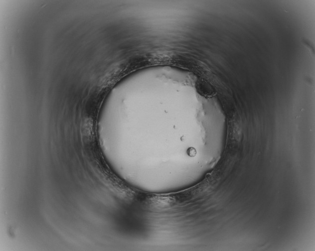 X0000101670711200807241440