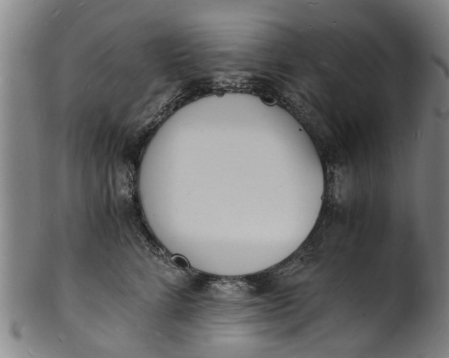 X0000101670712200807241440