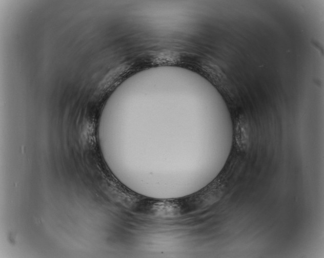 X0000101670714200807241440