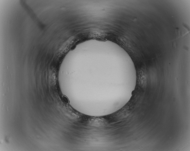 X0000101670716200807241440