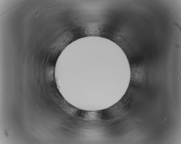 X0000101670717200807241440