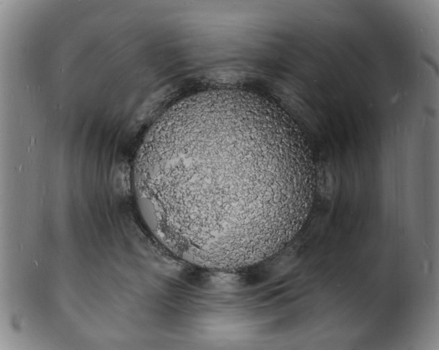 X0000101670718200807241440