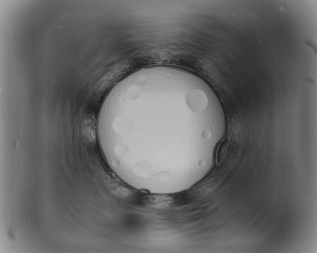 X0000101670719200807241440