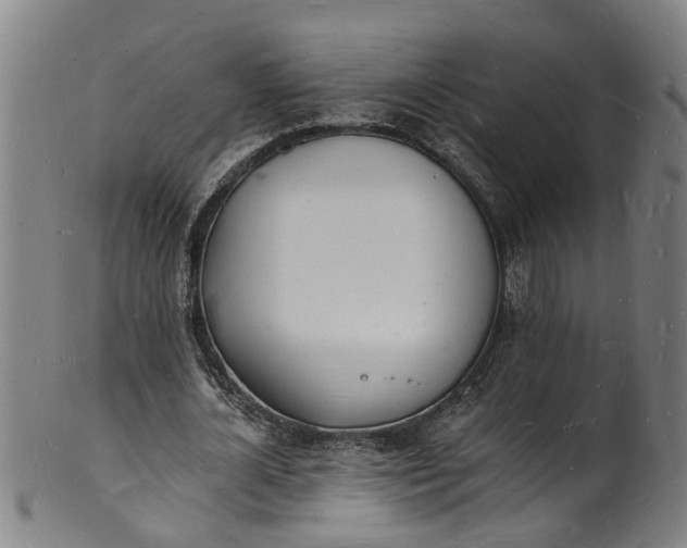 X0000101670724200807241440