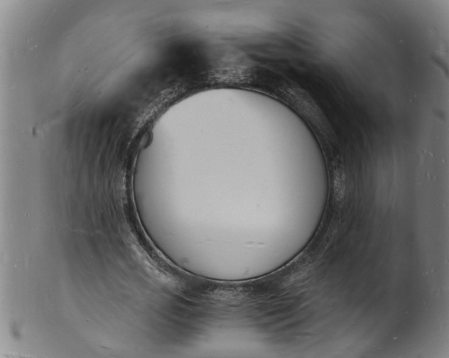 X0000101670725200807241440