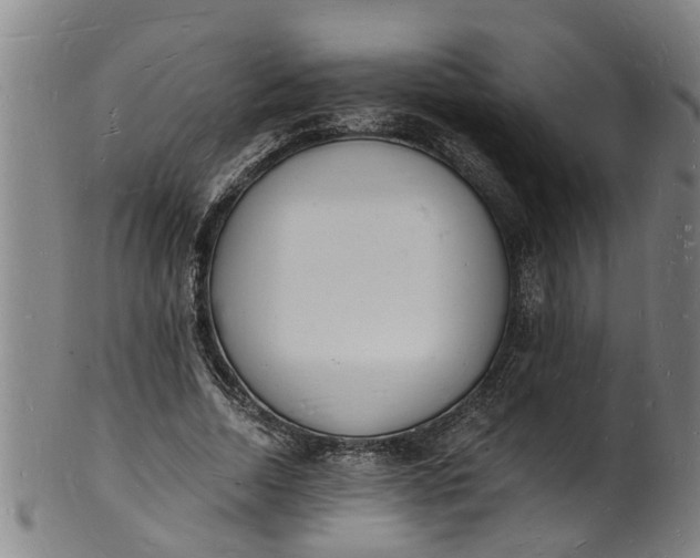 X0000101670730200807241440