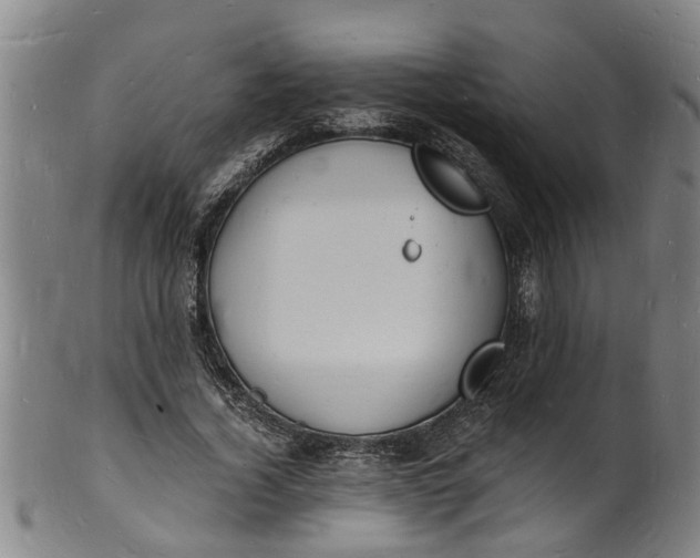 X0000101670732200807241440